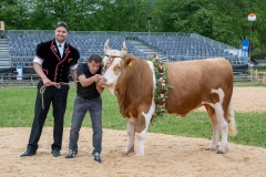 3. Mai 2026. Schwingen - Emmentalisches Schwingfest Oberdiessbach 1.-3. Mai 2026.  Rangverkündigung. Festsieger Adrian Walther (Habstetten) mit Sieger Muni Galileo. Züchter und Besitzer Daniel Graf (Bleiken) Spender MMR Metall AG (Zäziwil) Markus Moser  (Bild: Rolf Eicher)