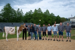 3. Mai 2026. Schwingen - Emmentalisches Schwingfest Oberdiessbach 1.-3. Mai 2026.  Rangverkündigung. Michael Moser (Arni) mit dem Rind Rachel, Spender Müller Polybau (Konolfingen) Thomas und Susanne Krähenbühl mit den Mitarbeitern. (Bild: Rolf Eicher)