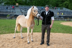 3. Mai 2026. Schwingen - Emmentalisches Schwingfest Oberdiessbach 1.-3. Mai 2026.  Rangverkündigung. Neukranzer Florian Matter (Rubigen) mit dem Fohlen Fanny. Spender Grafbedachungen AG und Bauspenglerei Haldimann beide Bleiken. (Bild: Rolf Eicher)