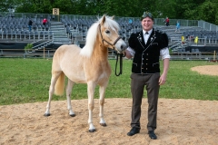 3. Mai 2026. Schwingen - Emmentalisches Schwingfest Oberdiessbach 1.-3. Mai 2026.  Rangverkündigung. Neukranzer Florian Matter (Rubigen) mit dem Fohlen Fanny. Spender Grafbedachungen AG und Bauspenglerei Haldimann beide Bleiken. (Bild: Rolf Eicher)