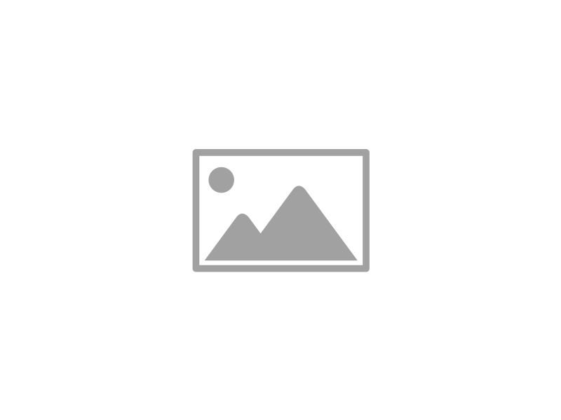 Alpaufzug Schilter