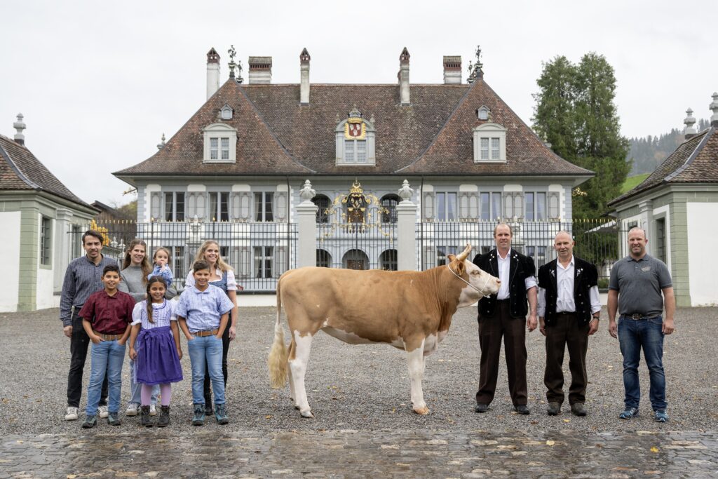Gusti Fantasio ANGELA, geb. 21.12.2023, Simmental