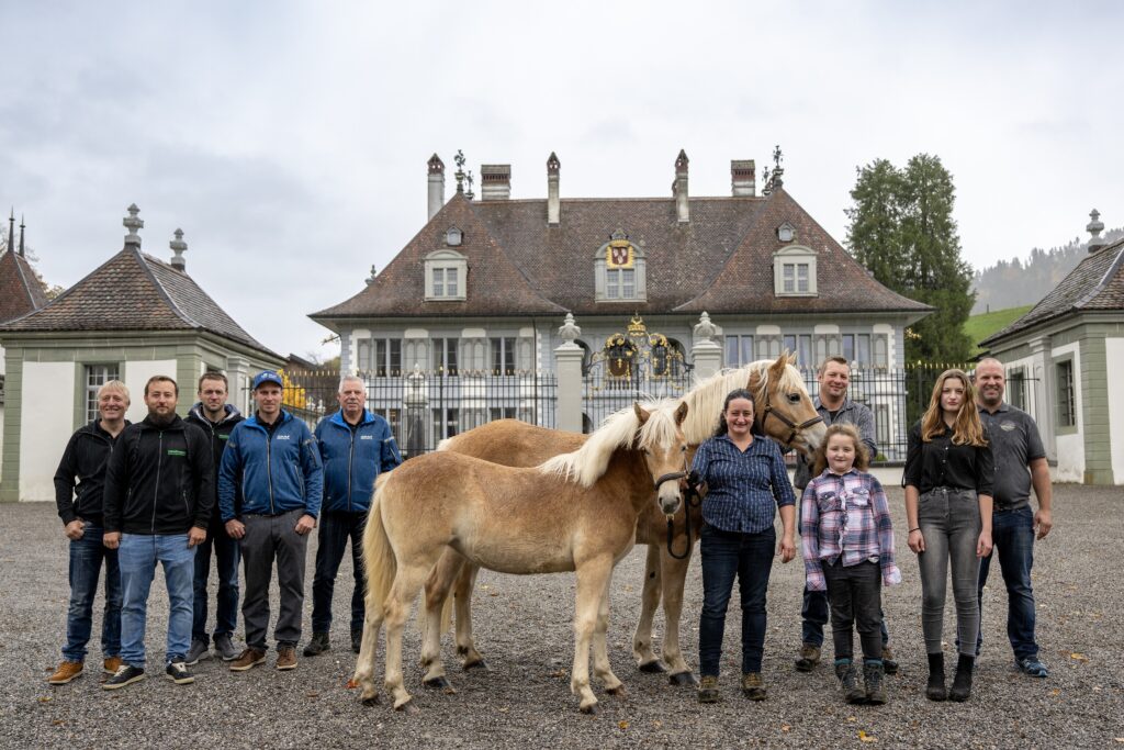 Haflinger Fiorentina und Fanny (Fohlen)