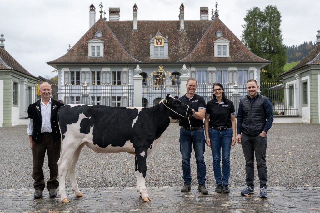 Rind Carla, geb. 16.9.2024, Holstein